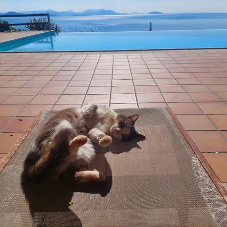 Lemoni - By The Sea With Swimming Pool And Amazing View Xiropigado