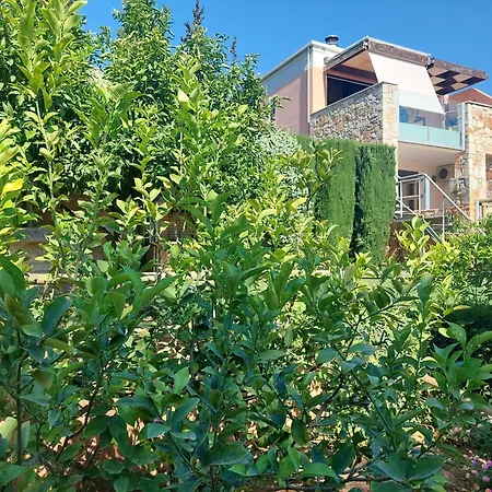 Lemoni - By The Sea With Swimming Pool And Amazing View * Xiropigado