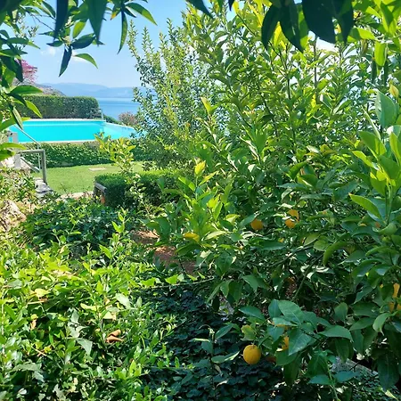 Lemoni - By The Sea With Swimming Pool And Amazing View Villa